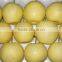 2015 Hot selling originality fresh crown pear