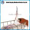 made in china alibaba sit-up assisting with upward leg-bending pediatric hospital bed