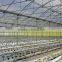 Hydroponic and Climatic Controllers for Tomato Strawberries and Hydroponic Production
