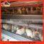 Stable steel structure chicken layer cage designs