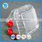 European transparent fruit tray blister packaging