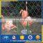 aviary/bird aviary/zoo aviaries/bird netting(made in china)