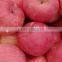 2015 new crop fresh red star apple with good quality for sale