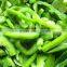 2016wholesale Frozen Green Pepper,Frozen Green Bell Pepper Frozen DICES