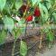 lateral labyrinth type gardening irrigation plastic pipe