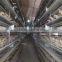 chicken farm steel structure for Africa