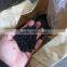 black HDPE geomembrane