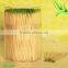 Nature Double Tips Bamboo Toothpick Minted