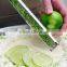 Stainless Steel Cheese Grater and Lemon Zester