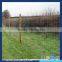 cattle horse fence manufacture of galvanized horse fence