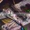 survival folding pocket knives of ceramic knife knives color