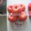 china fresh fuji apples