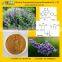 GMP Certified Vitex Agnus Castus Extract Powder