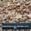 frozen peeled chestnuts for Bakery