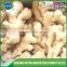 Cheap price ginger,dried ginger buyer