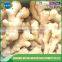 Dried ginger export prices