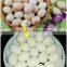 Industrial Automatic Hard Boiled Egg Peeling Machine