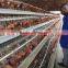 TAIYU Design Layer Chicken Cages 3/4 Tier for Kenya Farms