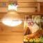 Nomo 50w reptile basking sun bulb lamp, for reptile heating and lighting