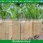 FD - 158172 dwarf bamboo fence in the park