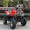 110/250CC automatic ATV for sales