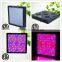 Mars Hydro Mars II 1600 Powerful 5 Watt LED Grow Light Switchable Full Spectrum Indoor Hydroponic Growing Kit