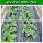 Silver-black plastic LDPE perforated agriculture mulch film