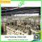 2016 Hot Sale Greenhouse for Mushroom