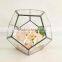 geometric glass terrarium for flower decor