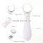 Multifunction Face Facial Cleansing Skin Care Massager Vibration Iontophoresis Cosmetic Instrument lon Import Anti Aging