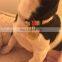 Cute design customized logo engraved metal pet tag