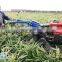 RB brand large capacity carrot harvester on sale