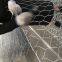 Flexible steel mesh gabions for bank control / hexagonal gabion box