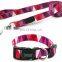 Pet Collar and Leash