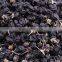 Organic Black Goji