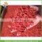 Top Quality China Rich Farmer Dried Goji Berry of 500 Grains Per 50 Gram For Export