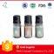 6pcs OEM fragrance oil gift set 10ml