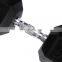 Classical and practical hammer strength dumbbell for gym and home