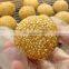 Small Sesame Seed Balls Rolling Machines Fried Sesame Balls Encrusting Machine Price for Sale