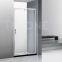 ELLIPS shower door