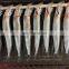 Wholesale one night dried capelin fish for export