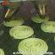 Fully Automatic Commercial Cookie Press Machine Industrial Cookie Making Machine