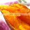 Best Quality China Fresh Sweet Potato for exporting
