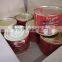 Health food canned tomato paste with double concentrated