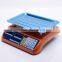 30Kg 10G Orange AC DC Power Weighing Scale Price