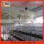 Bottom price hot-sale layer quail cage with auto water system