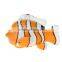 orange&white clown fish move lighting plastic toy for kids/design your own funny lighting plastic toy/oem function plastic toys