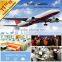 Professional cargo shipping agency to Singapore