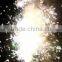 pyro fountain fireworks fonts de sant joan for italy
