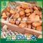 Continous Supply Snack Foods New Crop Siberian Open Pine Nuts in Shell